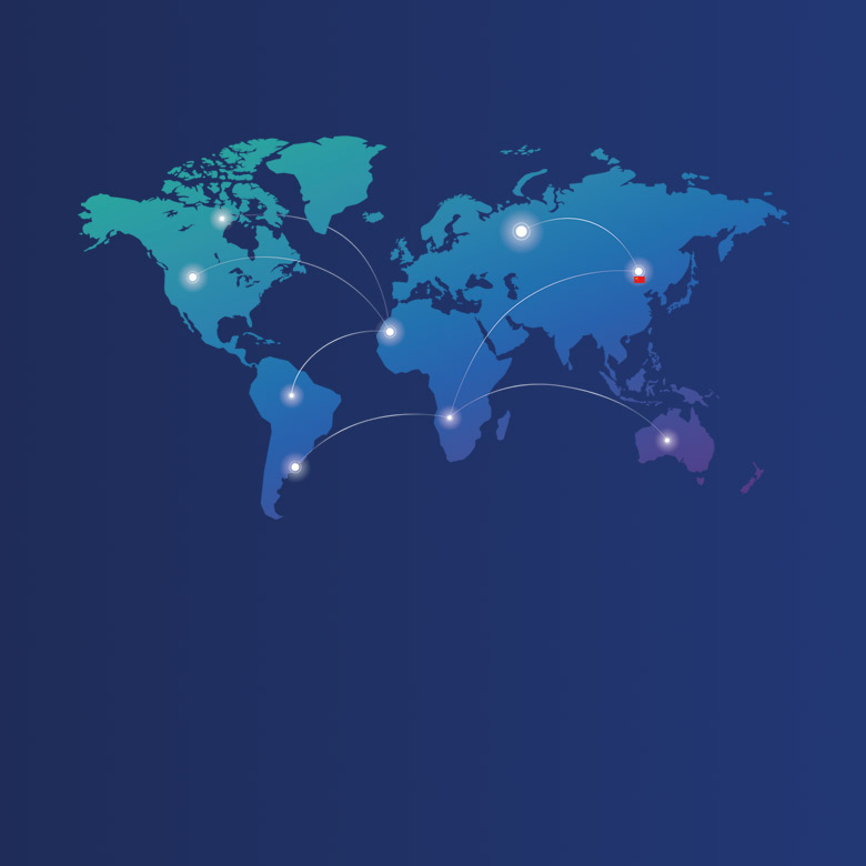 Sales  network